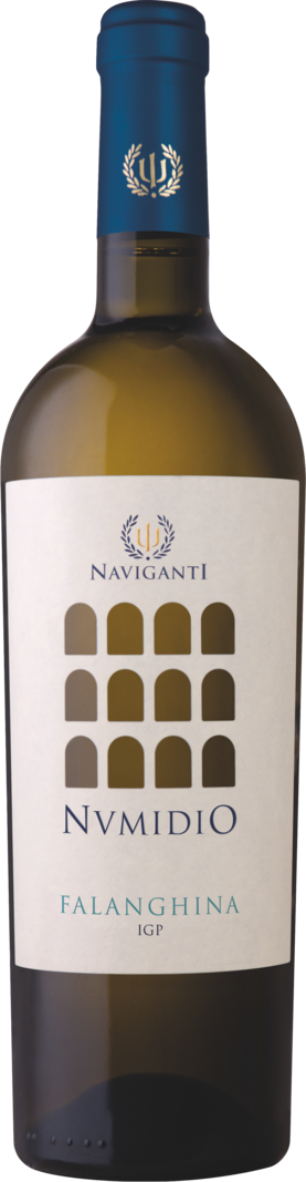 Montepulciano D'Abruzzo DOC - Nvmidio line